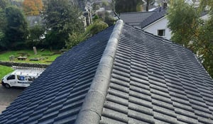 roof-refurbishment-black_1677246517