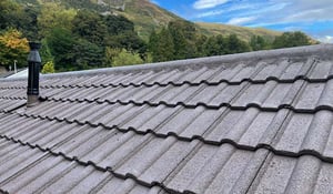 roof-refurbishment-brown-d
